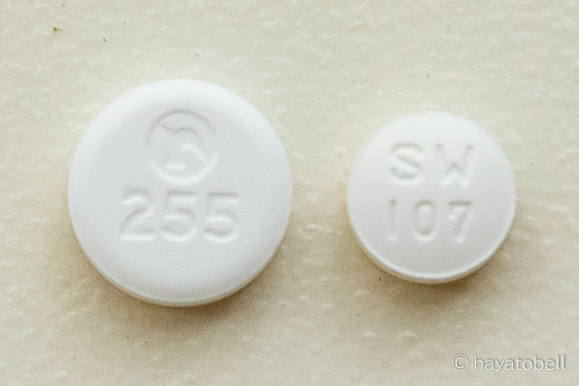 ガスロンN・OD錠とイルソグラジンマレイン酸塩錠