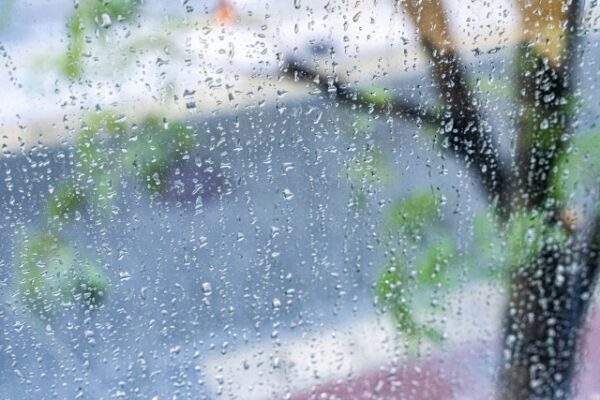 6月（梅雨）の引越しは安くなる？料金の傾向と雨の日の備え